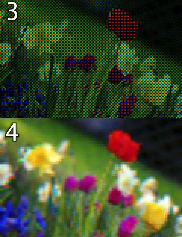 640.webp (2).png